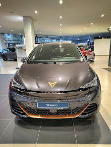 SEAT Hotz und Heitmann Wolfsburg