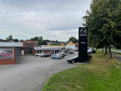 Horst Wilhelm Automobile GmbH & Co. KG