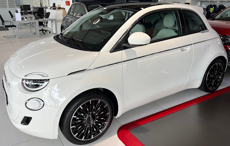 Fiat Moll Automobile