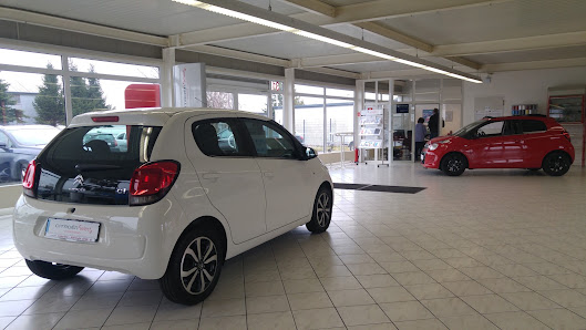 Autofit Dober