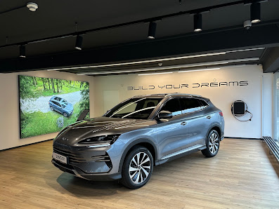 BYD | Senger