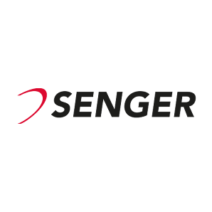 BYD | Senger