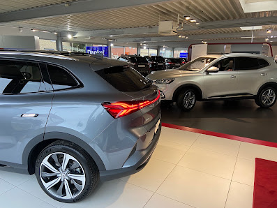 Woltmann Delmenhorst Ford & MG