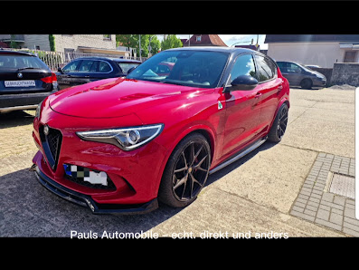 Paul`s Automobile