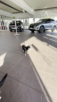 AUTO SCHRADER - Nissan