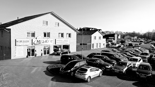 Schuller Automobile, Autohandel