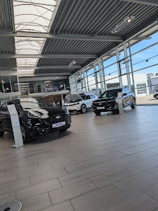 Autohaus Tobaben | Ford Stade