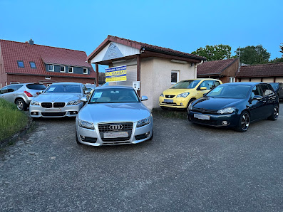 Steinhuder Autohof Pkw Ankauf Verkauf