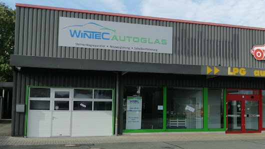 Wintec Autoglas Springe