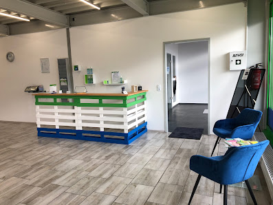 Wintec Autoglas Springe