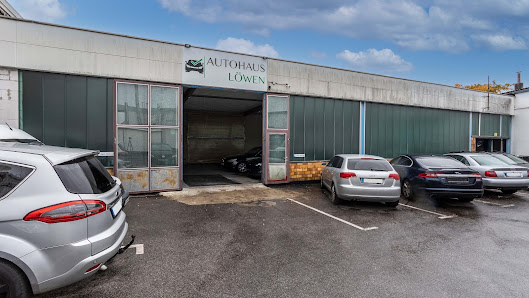 Löwen Werkstatt & Automobile + DPD