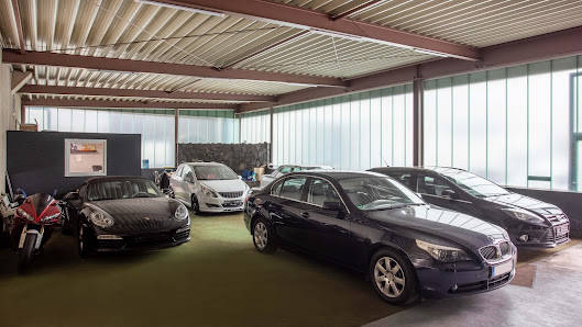 Löwen Werkstatt & Automobile + DPD