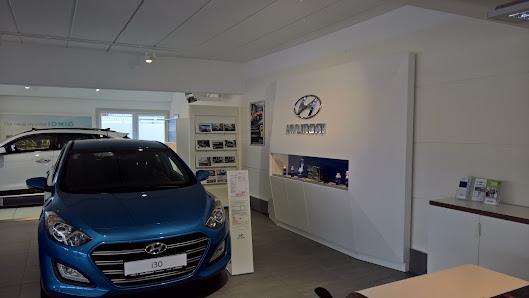 Hyundai-Servicepartner Blecker
