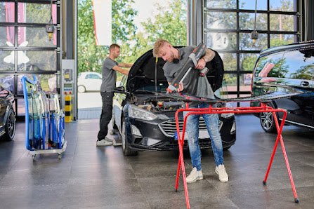 AUTOGLAS.plus - Sulingen