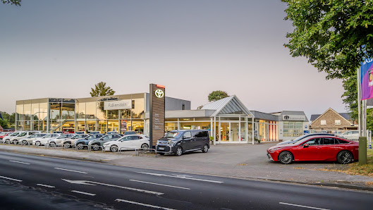 Autohaus Falkenstein GmbH & Co. KG