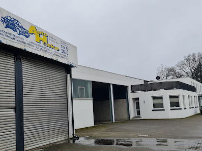 Auto Haske