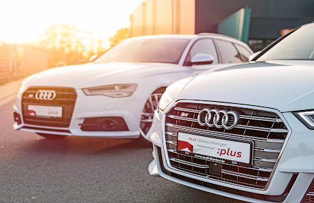 STARKE Vechta Audi