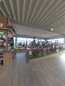 Autohaus Wernsing GmbH