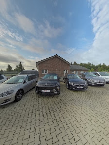 Andre Winter Automobile
