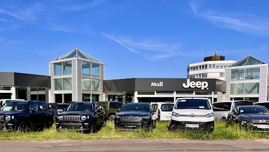 Jeep Moll Automobile