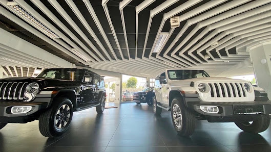 Jeep Moll Automobile
