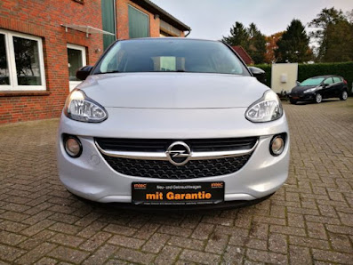 Auto Schauer