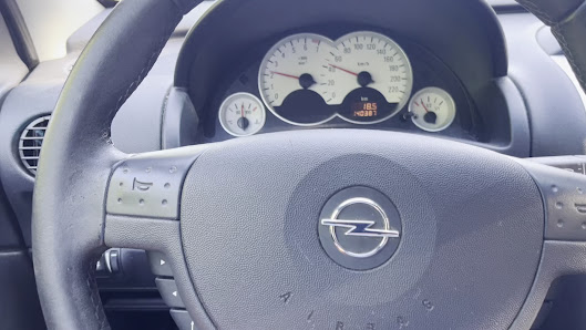 Autodienst Vogel