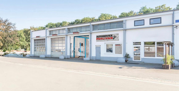 AUTO SERVICE PEHLIVAN