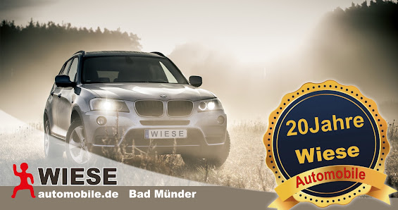 Wiese Automobile