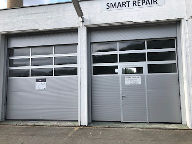 Smart Repair Dzudtsov