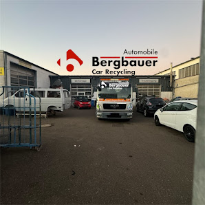 Automobile Bergbauer