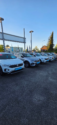 VW Das WeltAuto Auto Wolf