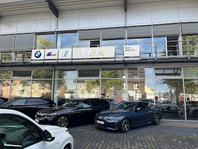 BMW FELIX