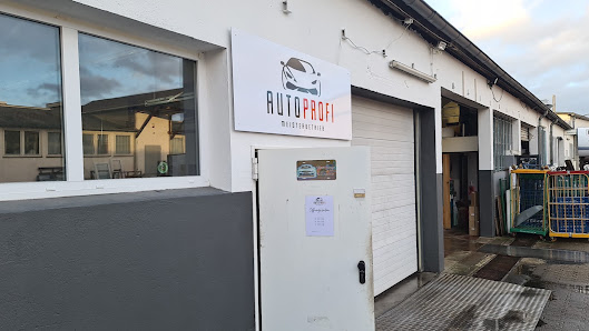 AUTOPROFI MEISTERBETRIEB