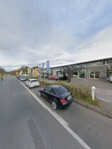 Borgmann GmbH Ford