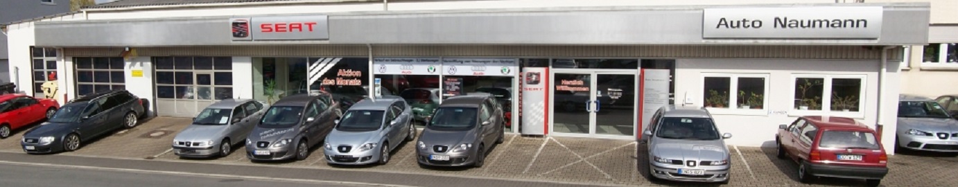 Auto Naumann