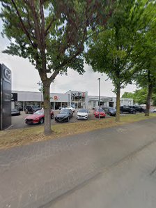 Nieberg & Steffens GmbH & Co. KG l Ein Unternehmen der Hankemeier Gruppe.