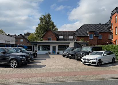 ANDERSON AUTOMOTIVE
