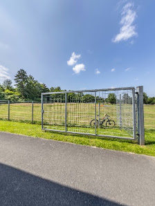 Autohaus Stegelmann - Gebrauchtwagen - Detmold