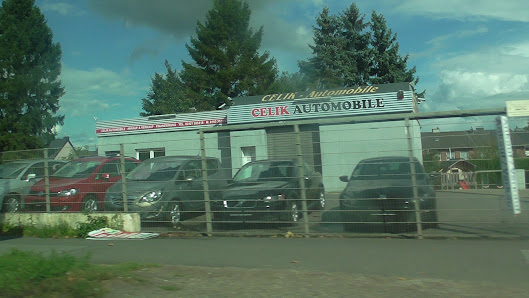 Celik Automobile