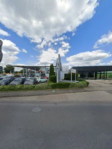 Jeep Moll Automobile