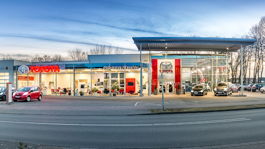 Autohaus Nitschke GmbH & Co. KG