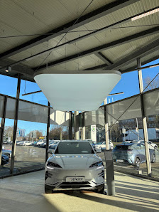 BYD | Senger