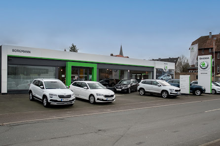 Autohaus Borgmann Dorsten | BYD | Škoda