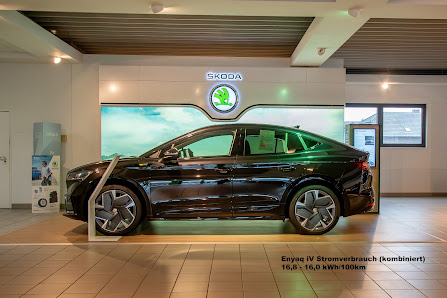 Autohaus Borgmann Dorsten | BYD | Škoda