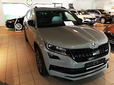 Škoda Autohaus Borgmann