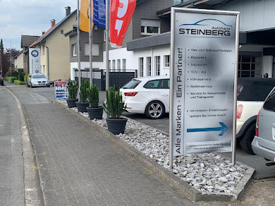 Autohaus Steinberg e.K.