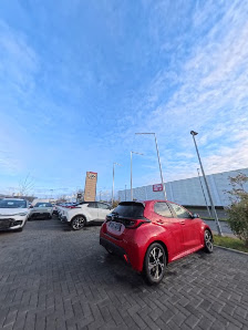 Auto Levy GmbH