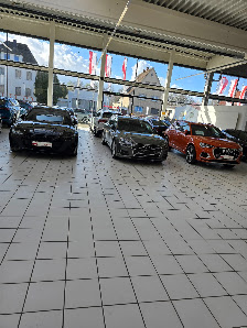 AVG Rosier (Audi/VW)