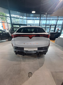 Seat & Cupra Autohaus Brass Frankfurt
